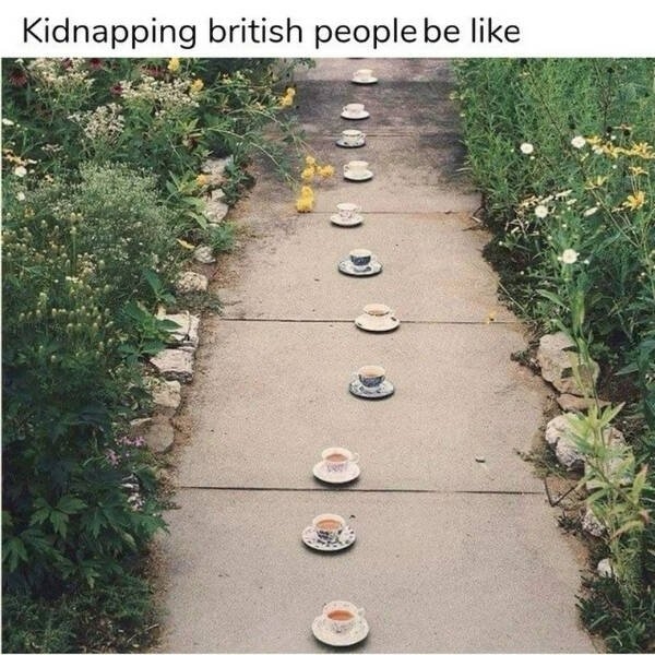 funnymemes204_005