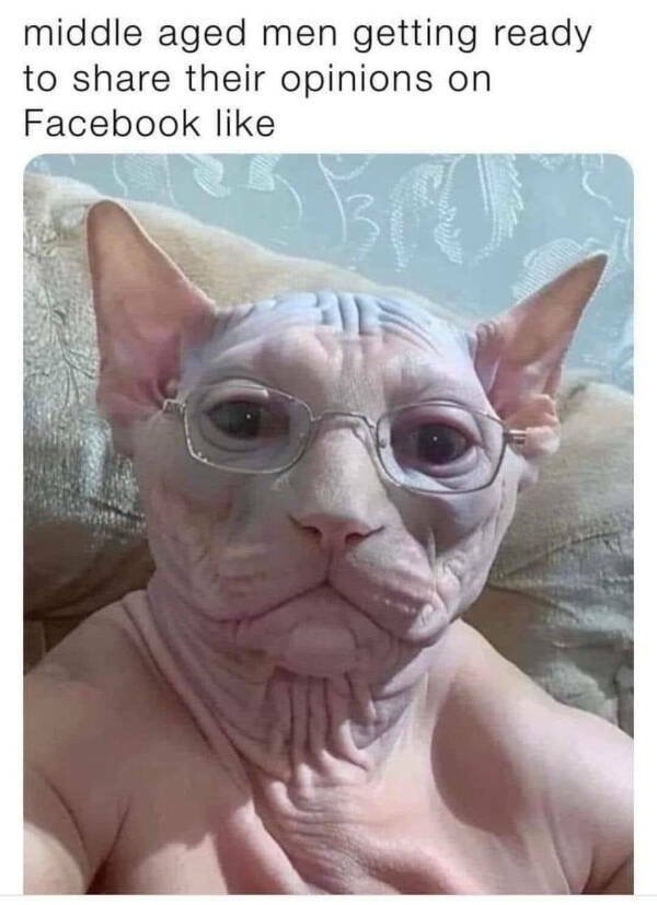 funnymemes204_006