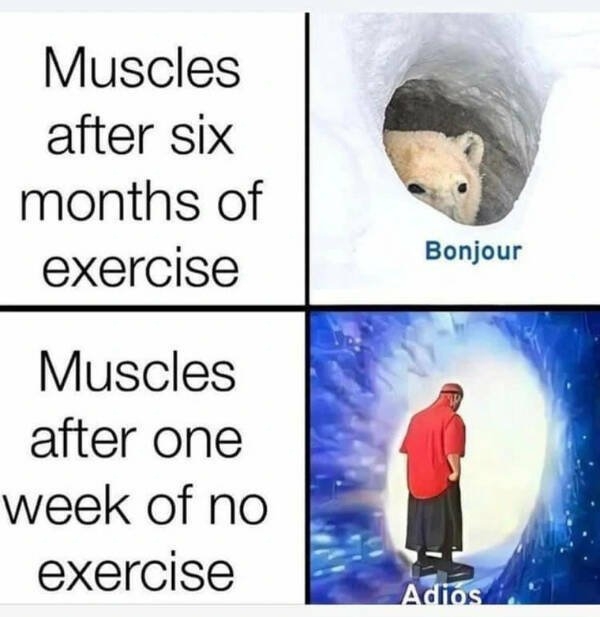 funnymemes204_008