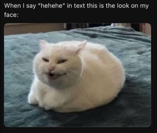 funnymemes204_012