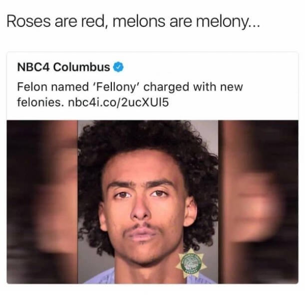 funnymemes204_014