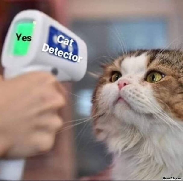 funnymemes204_024