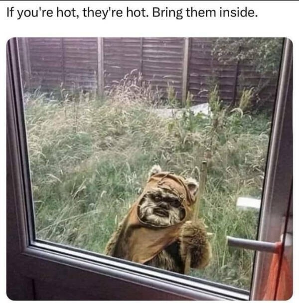 funnymemes204_025