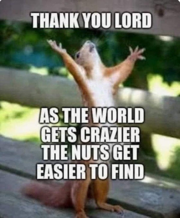 funnymemes204_035