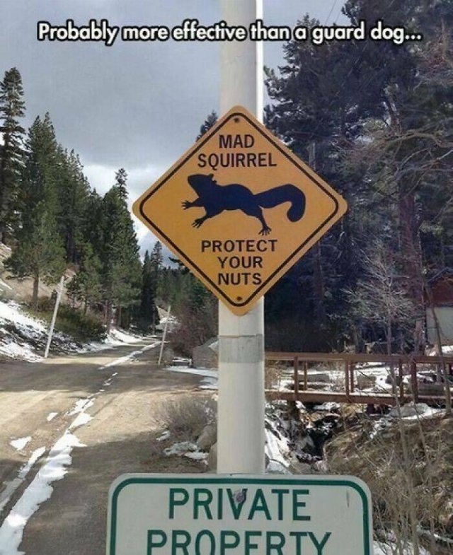 funnysigns36_005