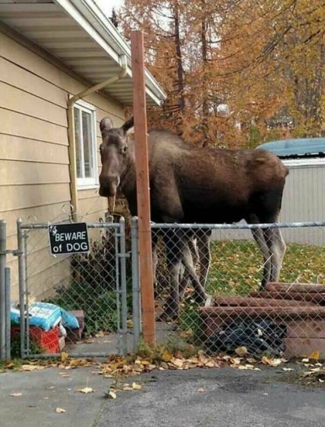 funnysigns36_030