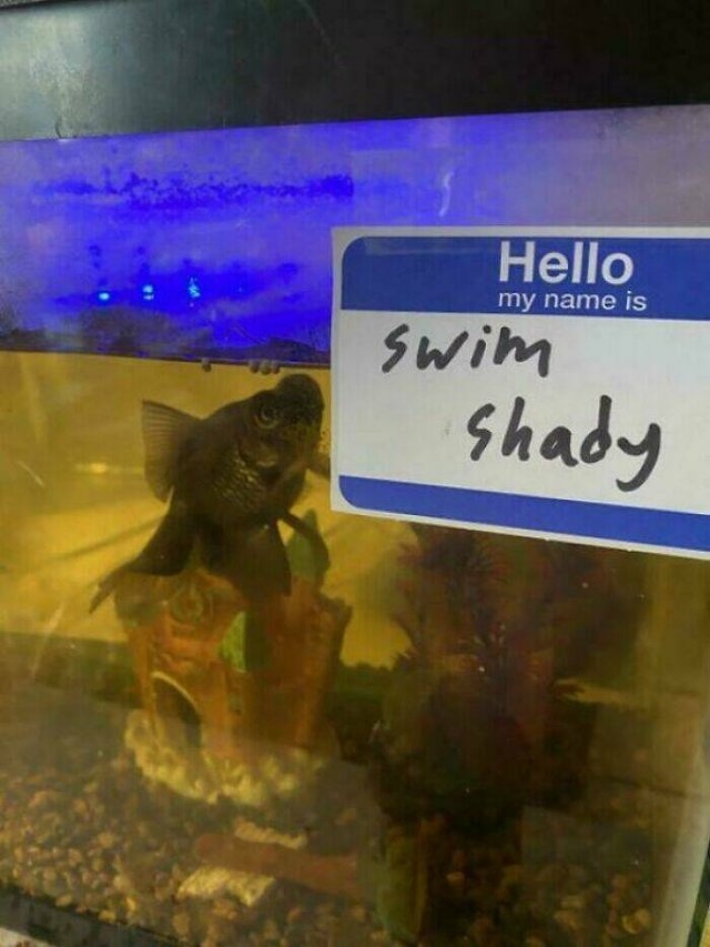 funnysigns36_036