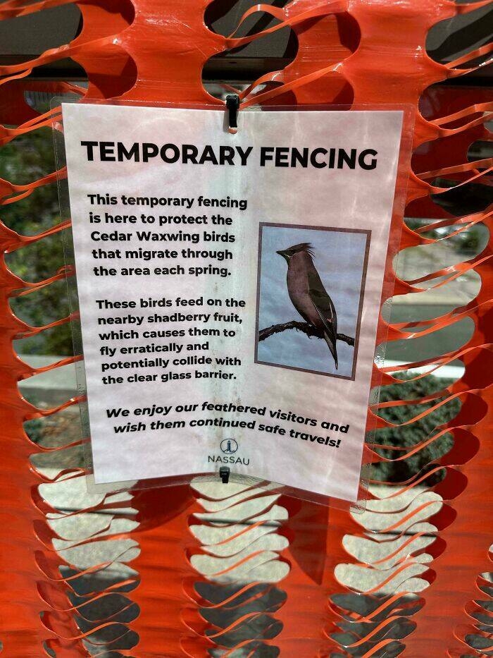 funnysigns37_027