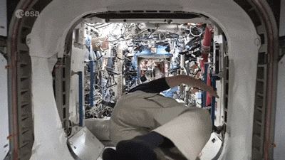 interestingfacts116_017