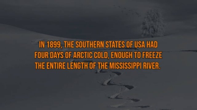 interestingfacts117_002