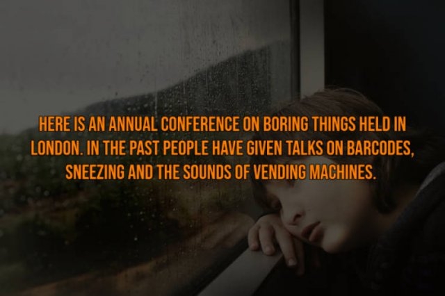 interestingfacts117_004