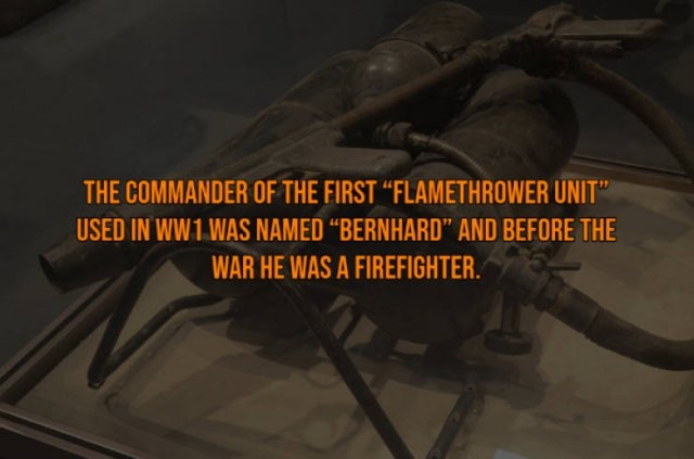 interestingfacts117_005