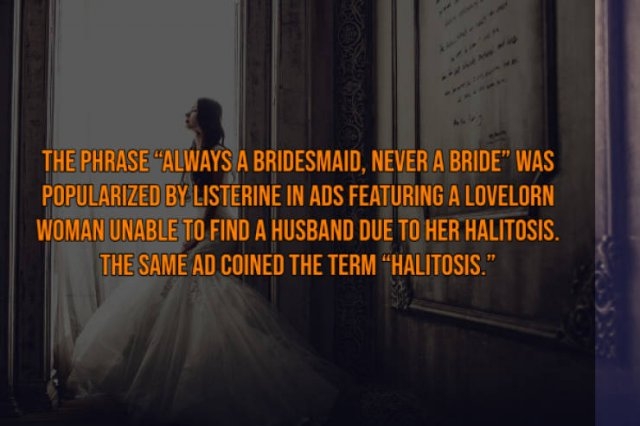 interestingfacts117_007