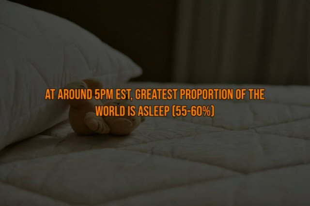 interestingfacts117_008