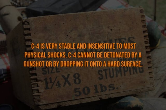 interestingfacts117_012