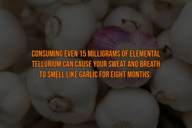 interestingfacts117_013