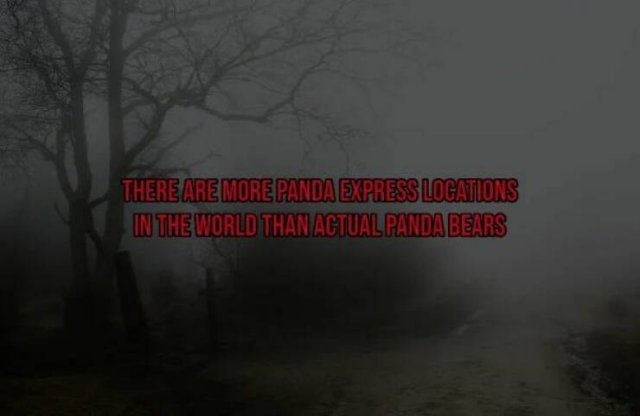 interestingfacts119_001