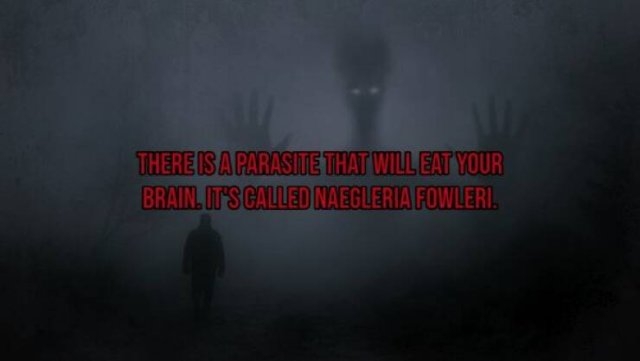 interestingfacts119_002