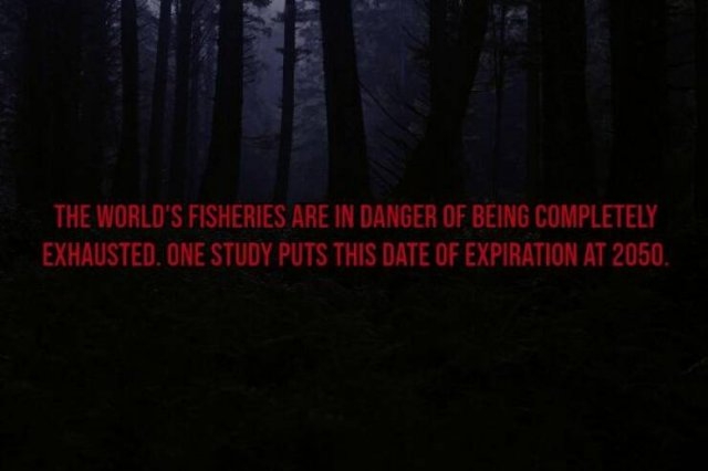 interestingfacts119_004