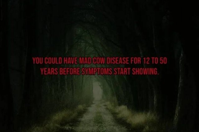 interestingfacts119_006