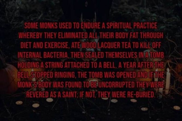 interestingfacts119_008