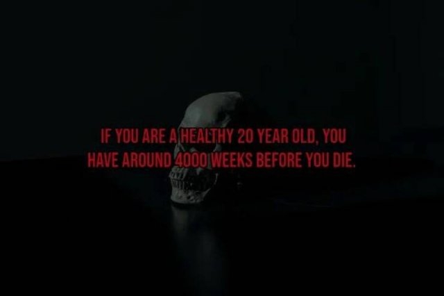 interestingfacts119_009