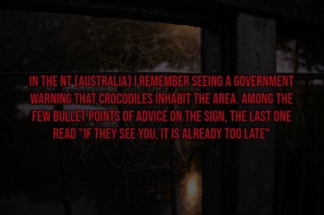 interestingfacts119_010