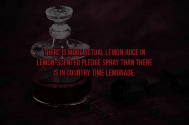 interestingfacts119_012