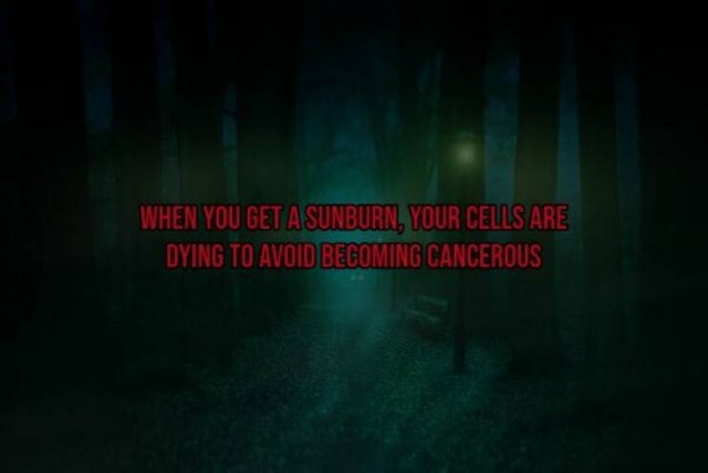 interestingfacts119_013