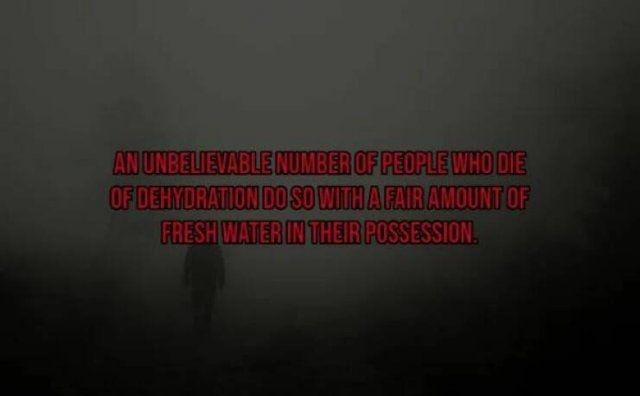 interestingfacts119_014