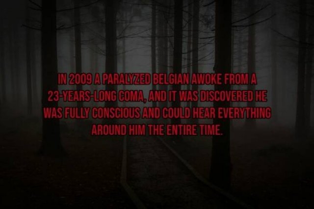 interestingfacts119_015