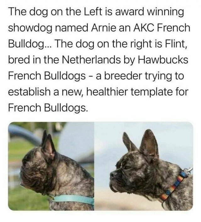 interestingfacts122_006