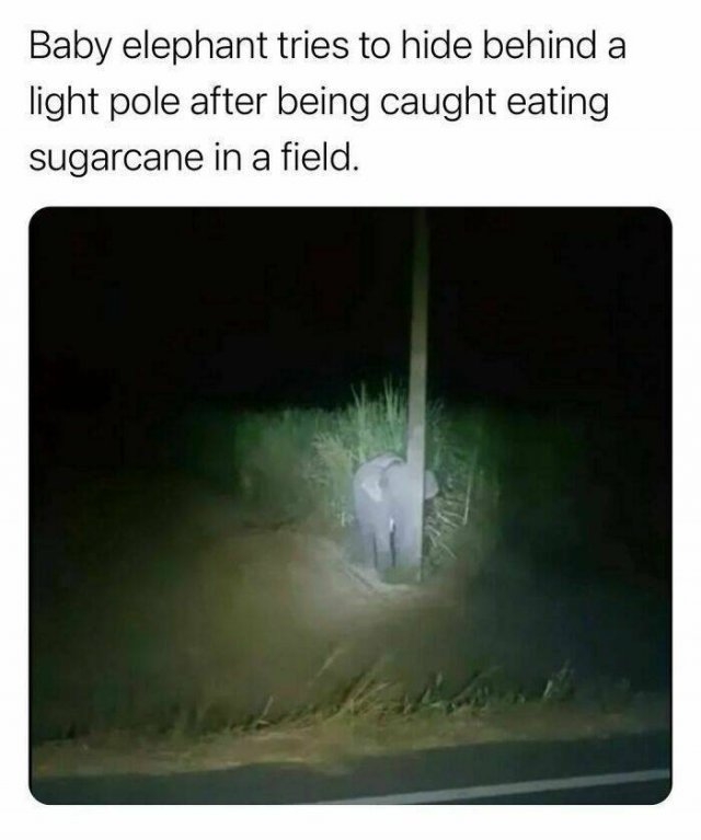 interestingfacts122_009