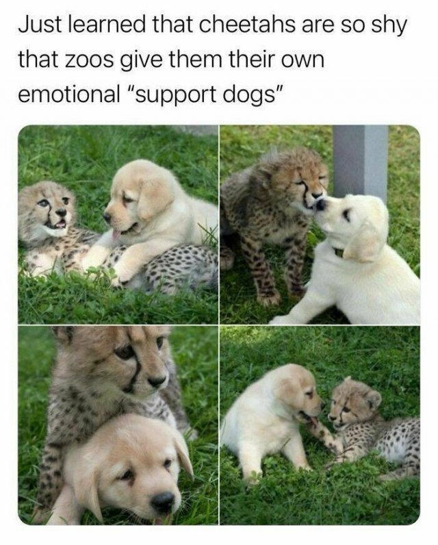 interestingfacts122_010