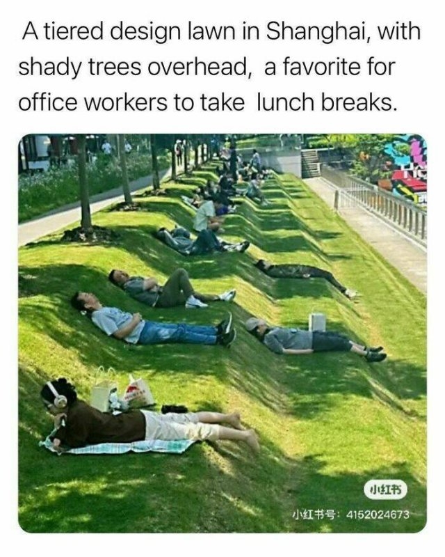 interestingfacts122_015