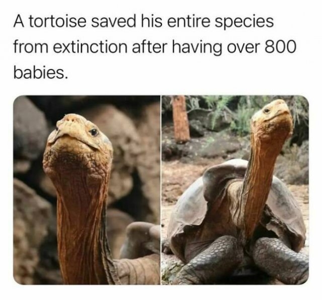 interestingfacts122_020