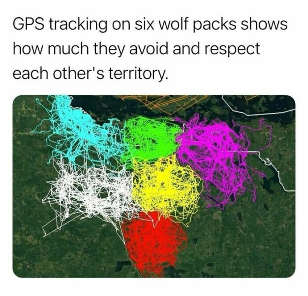 interestingfacts123_002