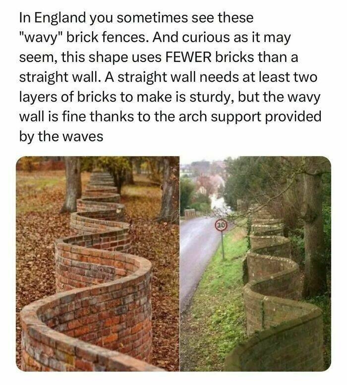 interestingfacts123_005