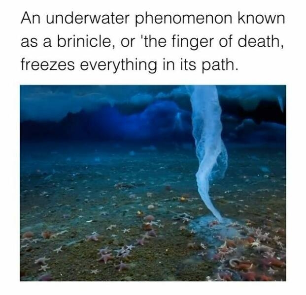 interestingfacts123_007