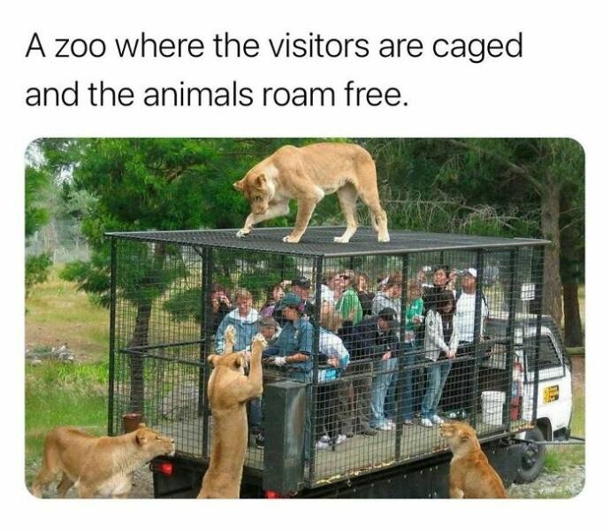 interestingfacts123_009