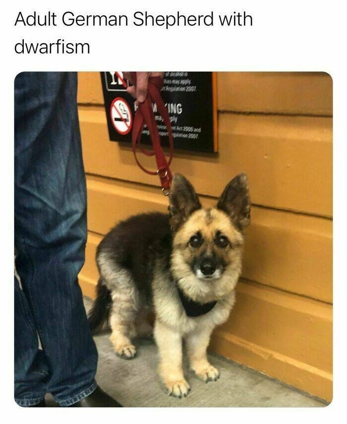 interestingfacts123_012