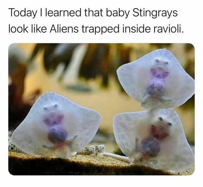 interestingfacts123_014