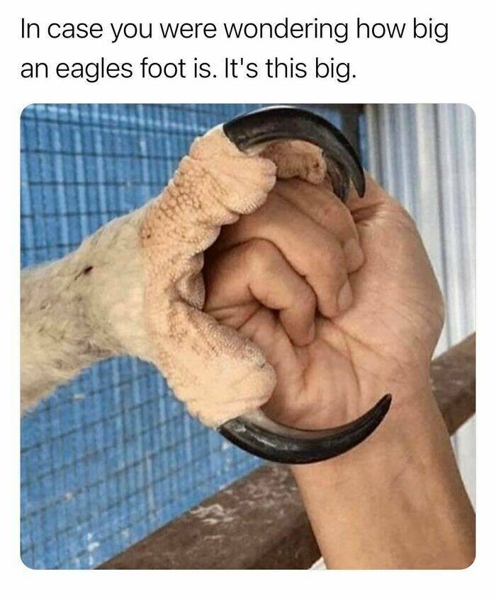 interestingfacts123_015