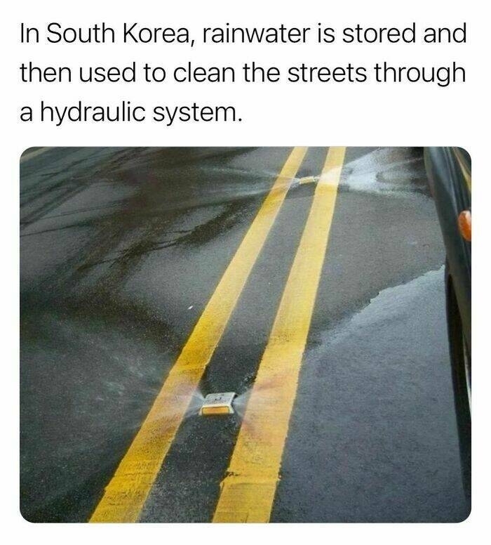 interestingfacts123_017