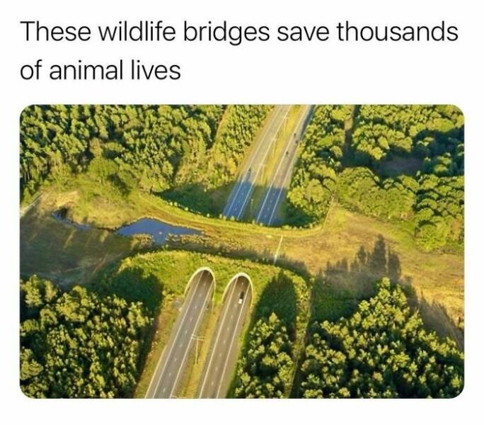 interestingfacts123_022