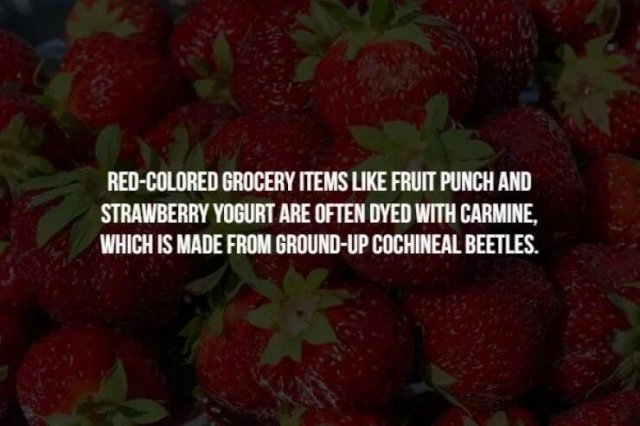 interestingfacts125_004