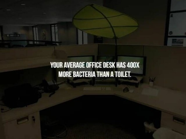 interestingfacts125_005