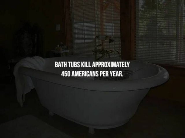 interestingfacts125_009