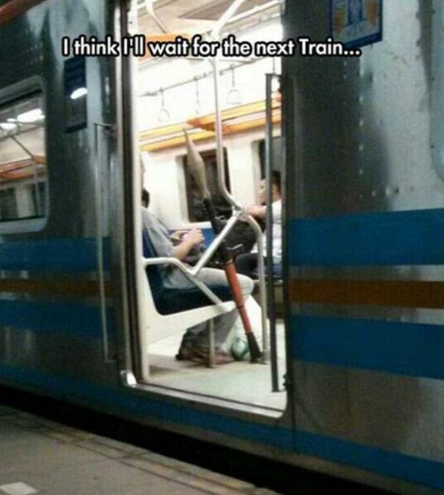 randompics1427_061