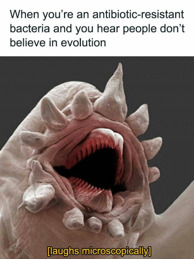 sciencememes13_010